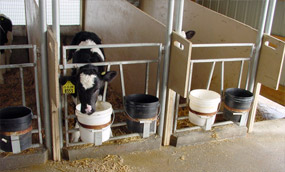 Wirth and Fedewa - Livestock Equipment Inc.